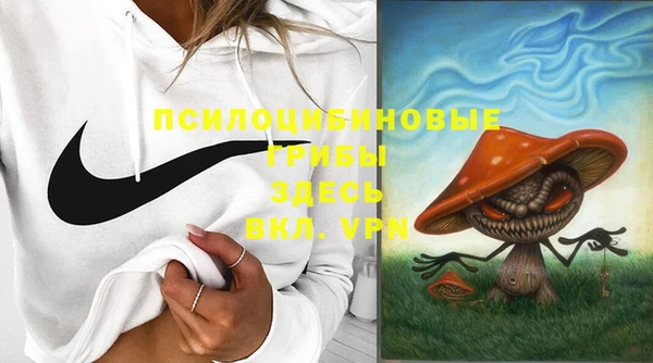 экстази Горняк